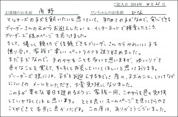 シェットランドシープドッグお客様の声
