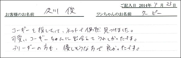 シェットランドシープドッグお客様の声