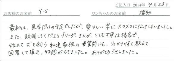 シェットランドシープドッグお客様の声