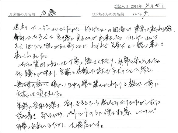 シェットランドシープドッグお客様の声