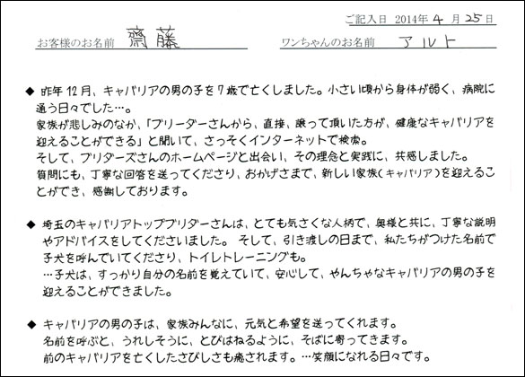 シェットランドシープドッグお客様の声