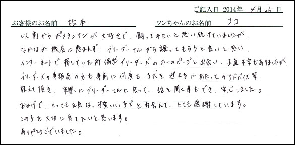 シェットランドシープドッグお客様の声