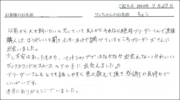 シェットランドシープドッグお客様の声