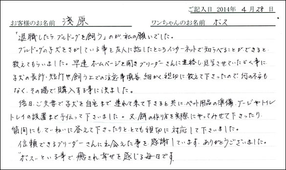 シェットランドシープドッグお客様の声