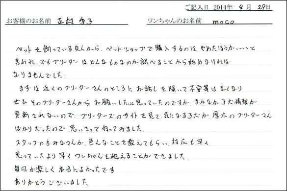 シェットランドシープドッグお客様の声