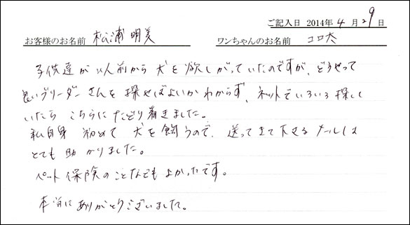 シェットランドシープドッグお客様の声