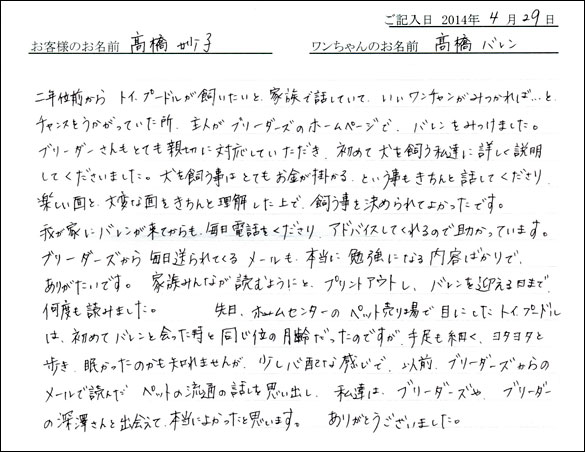 シェットランドシープドッグお客様の声