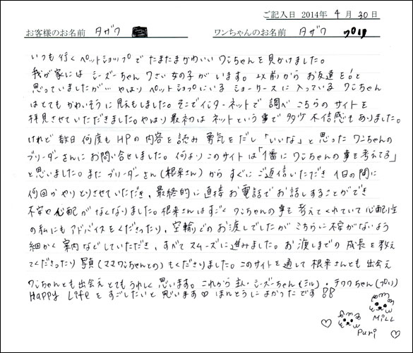 シェットランドシープドッグお客様の声