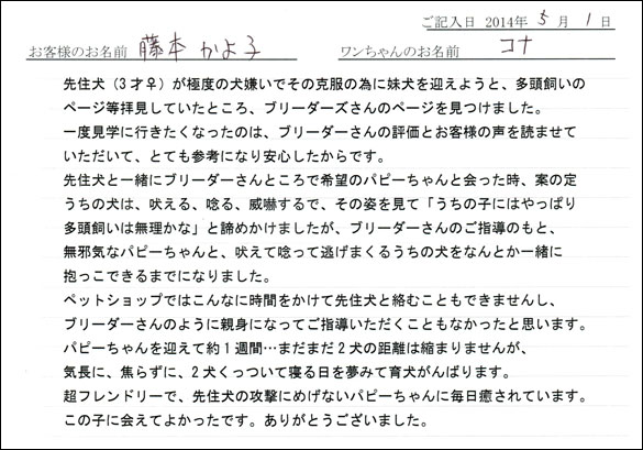 シェットランドシープドッグお客様の声