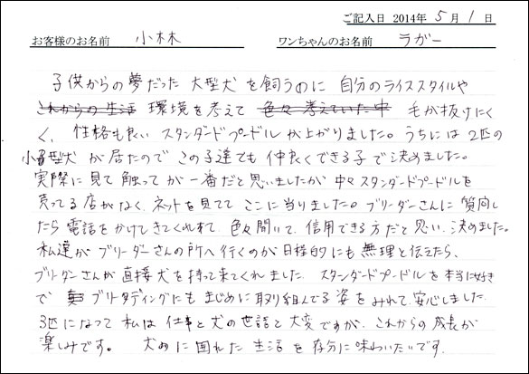 シェットランドシープドッグお客様の声