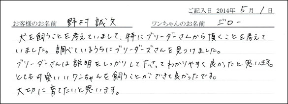 シェットランドシープドッグお客様の声
