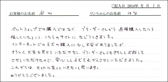 シェットランドシープドッグお客様の声