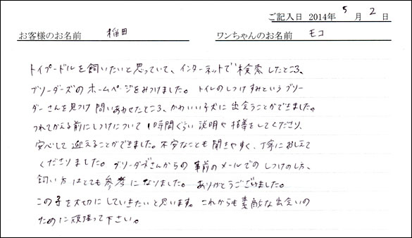 シェットランドシープドッグお客様の声