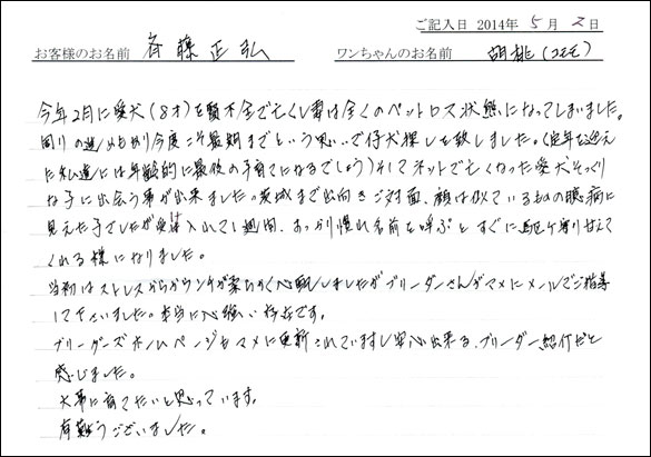シェットランドシープドッグお客様の声