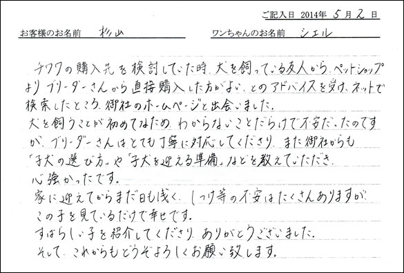 シェットランドシープドッグお客様の声