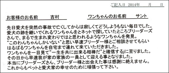 シェットランドシープドッグお客様の声