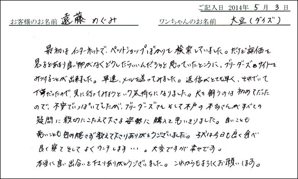 シェットランドシープドッグお客様の声