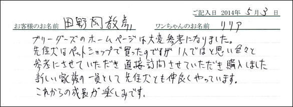 シェットランドシープドッグお客様の声