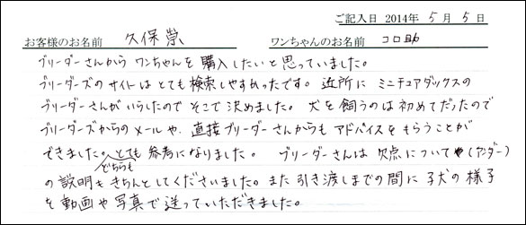 シェットランドシープドッグお客様の声