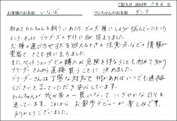 シェットランドシープドッグお客様の声