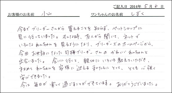 シェットランドシープドッグお客様の声