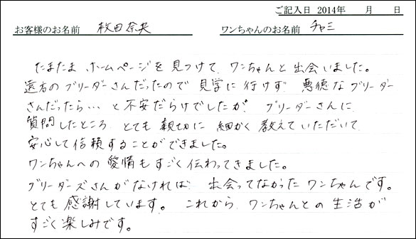 シェットランドシープドッグお客様の声