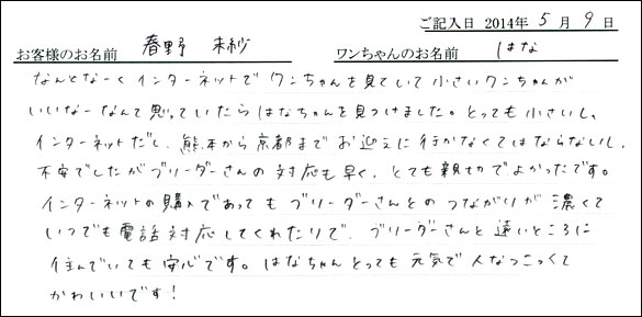 シェットランドシープドッグお客様の声