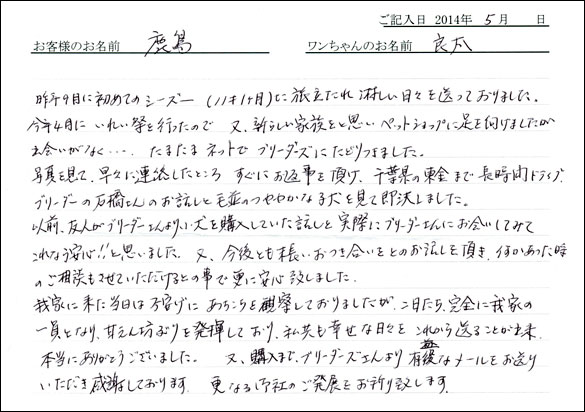 シェットランドシープドッグお客様の声