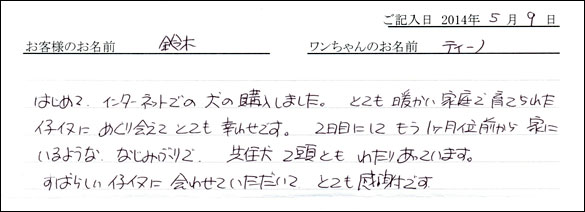 シェットランドシープドッグお客様の声