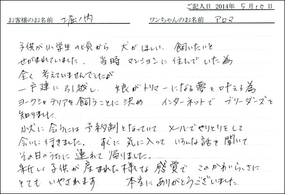 シェットランドシープドッグお客様の声