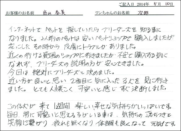 シェットランドシープドッグお客様の声