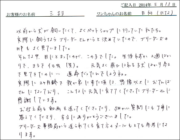 シェットランドシープドッグお客様の声