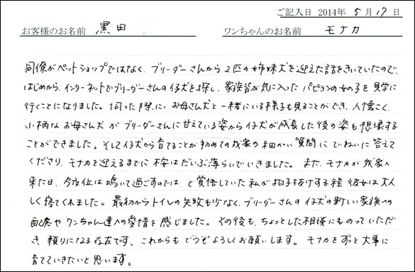 シェットランドシープドッグお客様の声