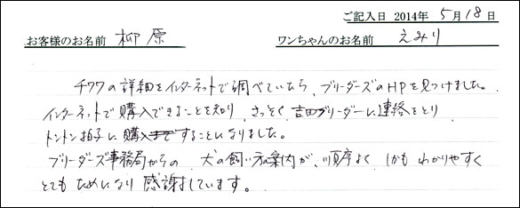 シェットランドシープドッグお客様の声