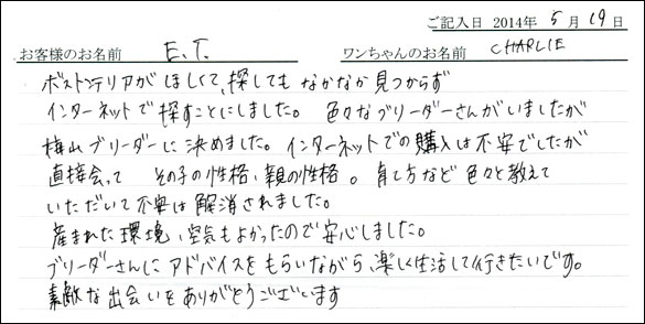 シェットランドシープドッグお客様の声