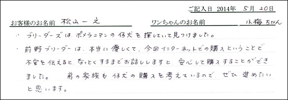 シェットランドシープドッグお客様の声