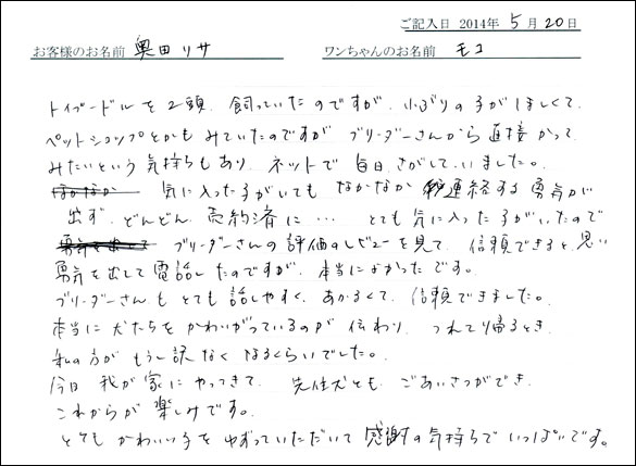シェットランドシープドッグお客様の声