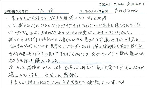 シェットランドシープドッグお客様の声