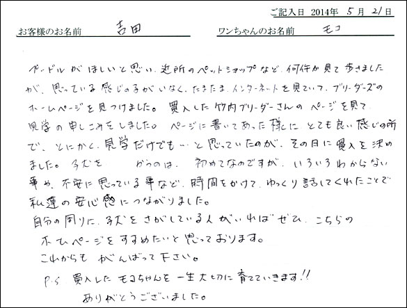 シェットランドシープドッグお客様の声