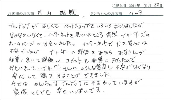 シェットランドシープドッグお客様の声