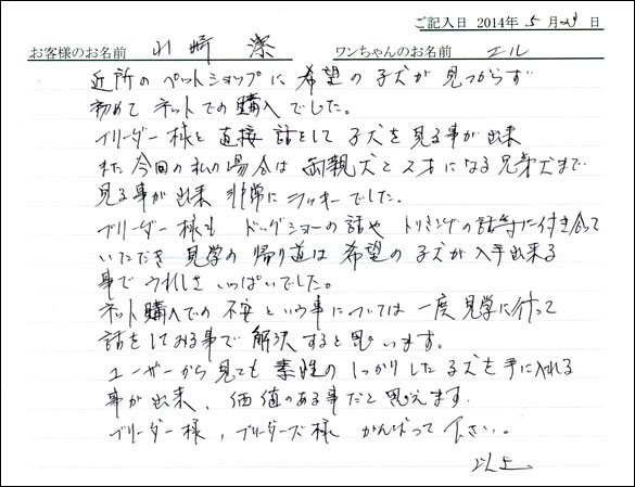 シェットランドシープドッグお客様の声