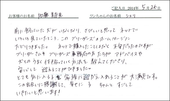 シェットランドシープドッグお客様の声