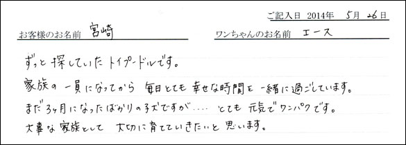 シェットランドシープドッグお客様の声