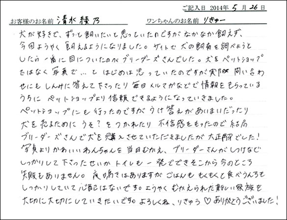 シェットランドシープドッグお客様の声