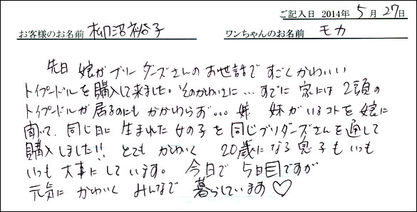 シェットランドシープドッグお客様の声