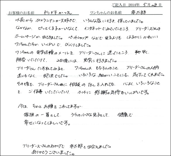シェットランドシープドッグお客様の声