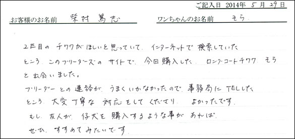 シェットランドシープドッグお客様の声