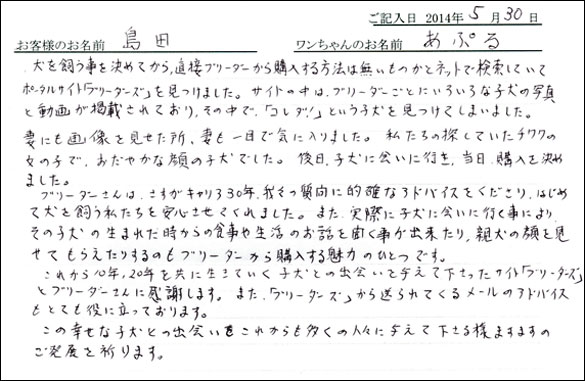 シェットランドシープドッグお客様の声