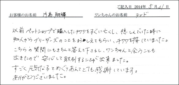 シェットランドシープドッグお客様の声