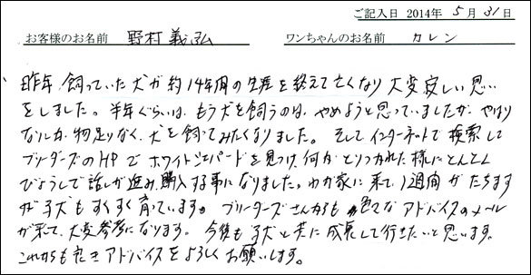 シェットランドシープドッグお客様の声